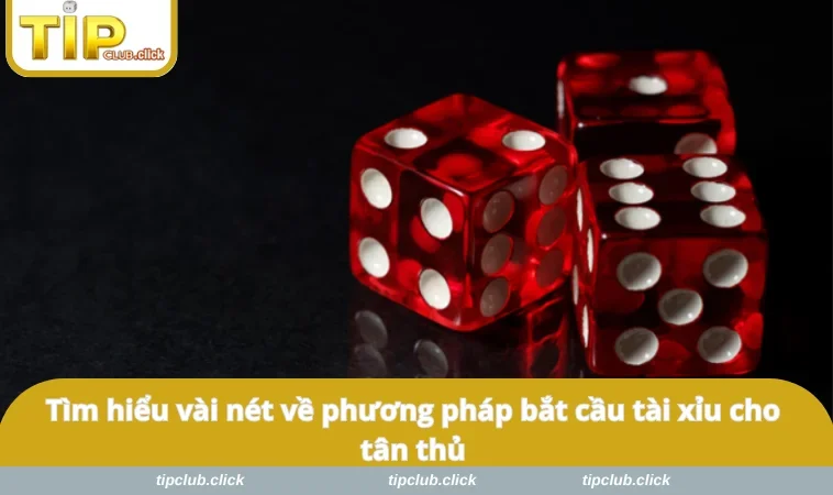 Tìm hiểu vài nét về phương pháp bắt cầu tài xỉu cho tân thủ