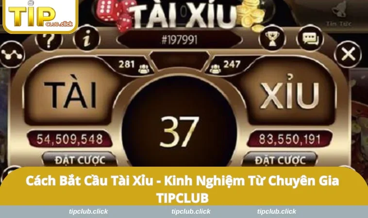 Cách Bắt Cầu Tài Xỉu