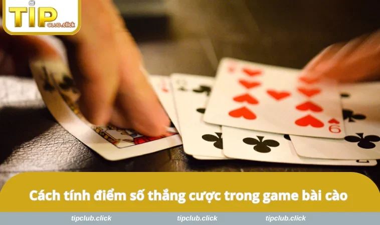 Cách tính điểm số thắng cược trong game bài cào