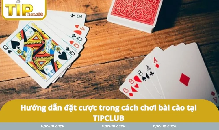 Hướng dẫn đặt cược trong cách chơi bài cào tại TIPCLUB