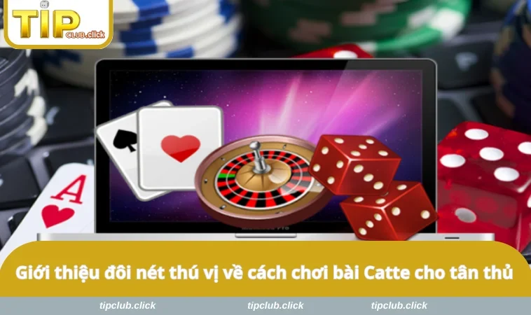 Giới thiệu đôi nét thú vị về cách chơi bài Catte cho tân thủ