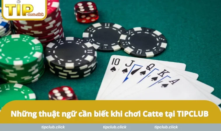 Những thuật ngữ cần biết khi chơi Catte tại TIPCLUB