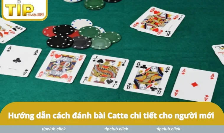Hướng dẫn cách đánh bài Catte chi tiết cho người mới