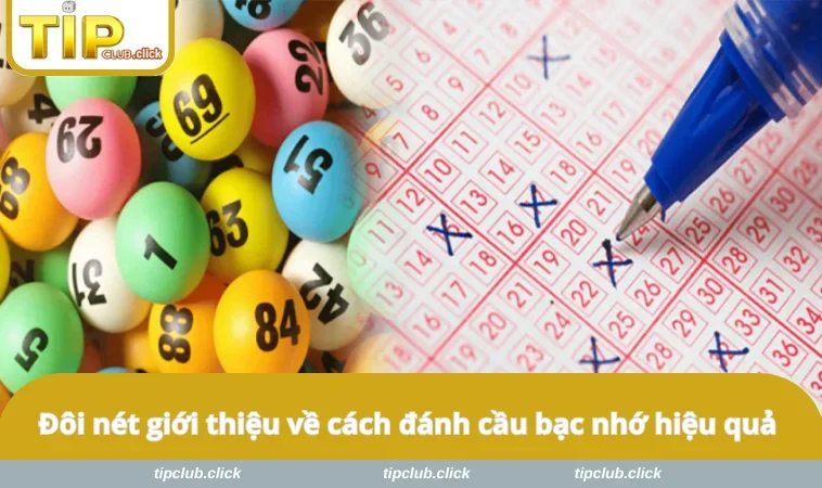 Đôi nét giới thiệu về cách đánh cầu bạc nhớ hiệu quả
