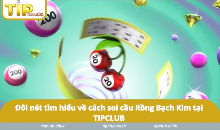 Đôi nét tìm hiểu về cách soi cầu Rồng Bạch Kim tại TIPCLUB