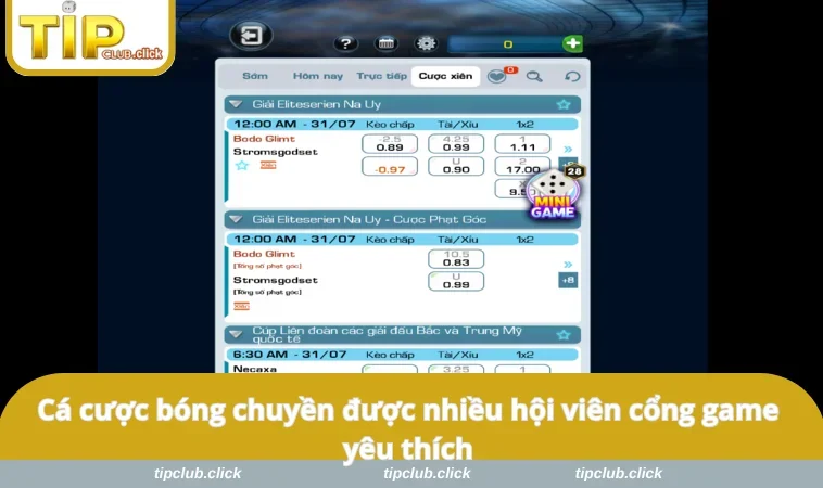 Cá cược bóng chuyền được nhiều hội viên cổng game yêu thích